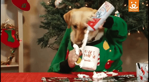 Whipped Cream Omg GIF by Best Friends Animal Society