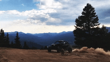 drifting off road GIF by Lewis Hamilton