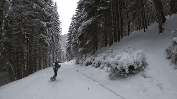 winter snowboarding GIF