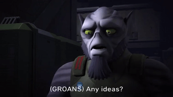 200.gif?cid=fc005b0803991a7b3e98423f8a54190a4891f0df60d42c6f&rid=200.gif&ct=g