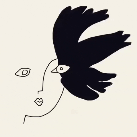 black bird animation GIF by Barbara Pozzi