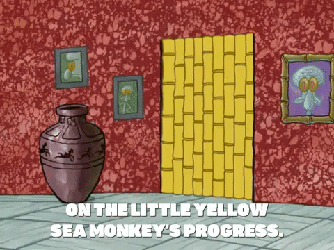 sea-monkeys meme gif