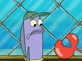 200.gif?cid=fc005b08321f6a5486fe756257f03214c3776856e5db673f&rid=200.gif&ct=g