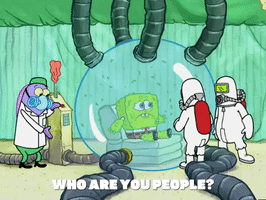 200.gif?cid=fc005b0880ffe5a2daadcaf225f679b263641bf63de958db&rid=200.gif&ct=g