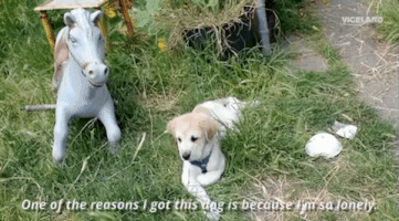 Viceland GIF by TWIZ & TUCK