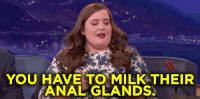 aidy bryant anal glands GIF by Team Coco aidy bryant anal glands GIF by Team Coco