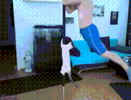 elliot_  GIF