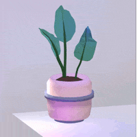 rubber plant GIF by nullbody