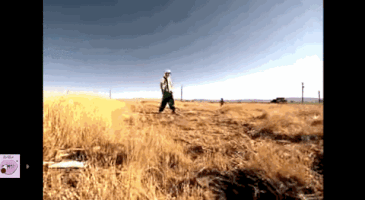 mkhammer my name is kid rock GIF