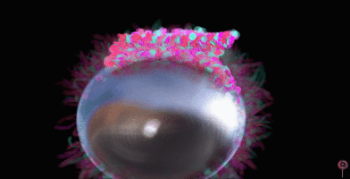 animatedvisions gif 3d motion blur GIF