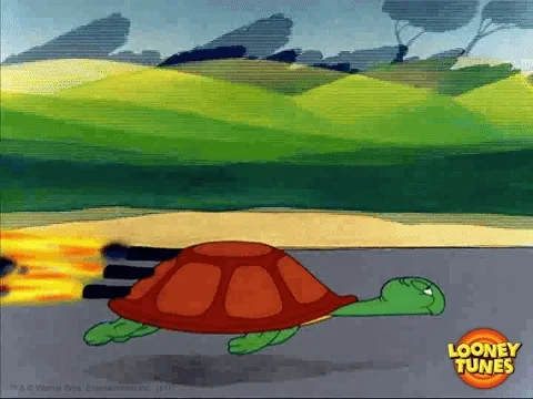 race speeding GIF by Looney Tunes