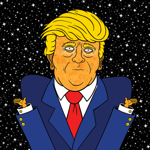 donald trump GIF by Richie Brown