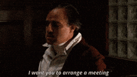 Godfather Horse Head Gif