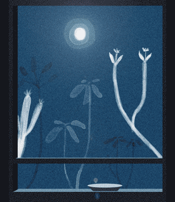 full moon in window illustrated gif