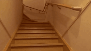 catmanian cats who are warmingly welcomming their humans GIF