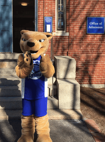 clapping applause GIF by Wheaton College (MA)