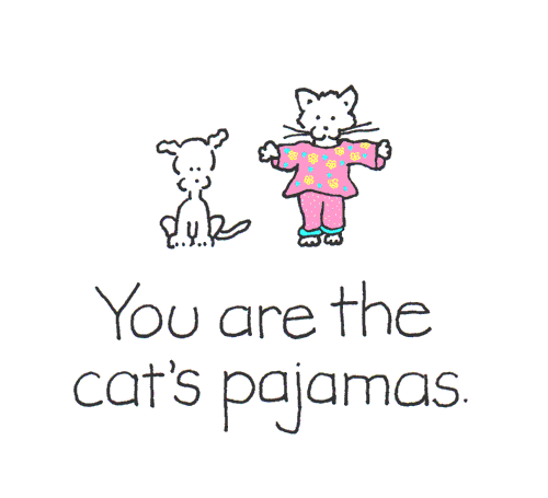 cats pajamas