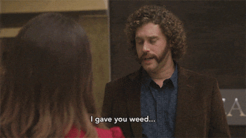 pied piper weed GIF by Silicon Valley