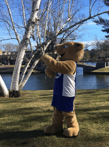 mascot happy dance GIF by Wheaton College (MA)