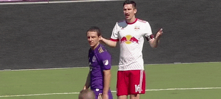 Major League Soccer What GIF by New York Red Bulls