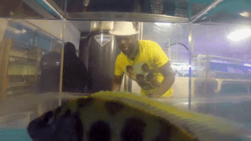 200.gif?cid=fc005b08e05cd7d4a6218a66bf7596260153452b1680dc6d&rid=200.gif&ct=g