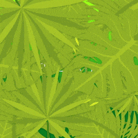 Earth Leaves GIF by Tyler Resty