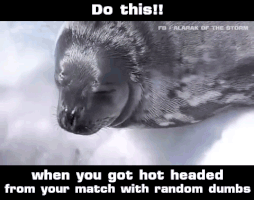 viciaiateciavanavuti  GIF