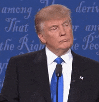 Donald-trump-wrong GIFs - Get the best GIF on GIPHY