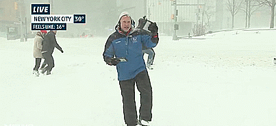 dlukenelson  GIF