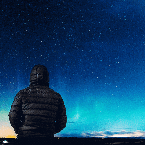 slotogenic spacecat catcollage GIF