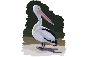 Bird Pelican Sticker by Marc Lariviere