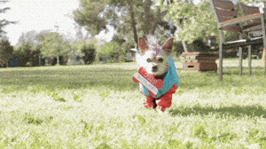 Nicki Minaj Dog GIF by DNCE