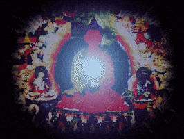 thamarindo  GIF