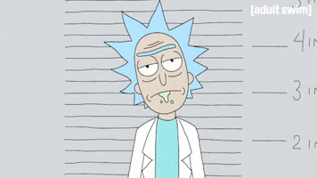 Season 1 Mugshot GIF by Rick and Morty