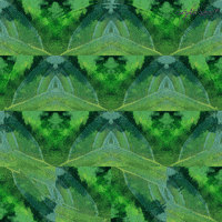 Visionary Art Forest GIF