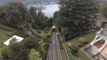Donovandon  GIF