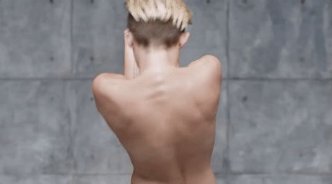 giphy.gif