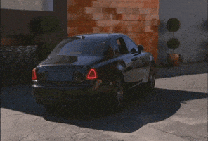 fox GIF by Hell's Kitchen