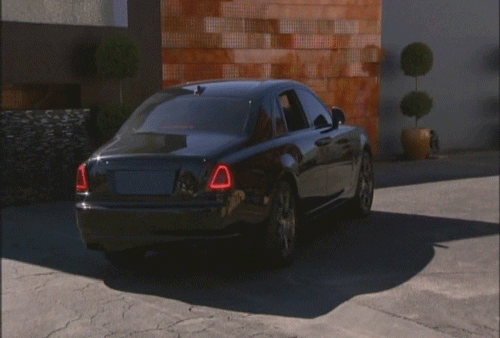 fox GIF by Hell's Kitchen