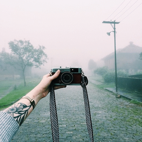 juliefernanda photography cameras GIF