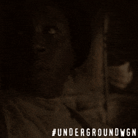 harriet tubman drama GIF by Underground
