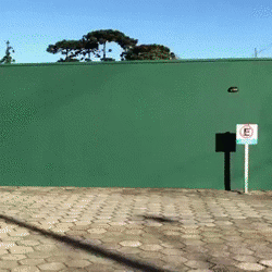 pepesoto feliz baile felicidad GIF