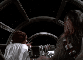 raccoon84 leia chewie GIF