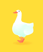 Ducky GIFs - Find & Share on GIPHY