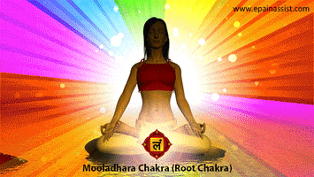 how to improve root chakra or mooladhara chakra? GIF by ePainAssist
