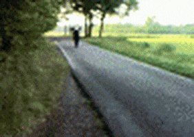 mago sxv mono remembers GIF