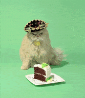 Angry Happy Birthday GIF by Birthday Bot