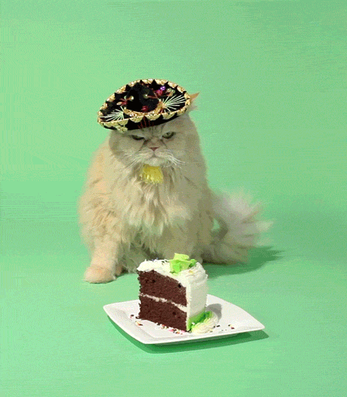 Kitty Happy Birthday Gif With Cake & Balloons Pictures, Photos, and Images  for Facebook, Tumblr, Pinterest, and Twitter
