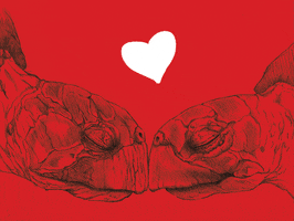 Love Turtles Hearts Valentines GIF by Westhoffenator