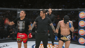 bellatormma  happy sad mma winner